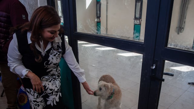 Brugada revisa condiciones de perros rescatados del Refugio Franciscano