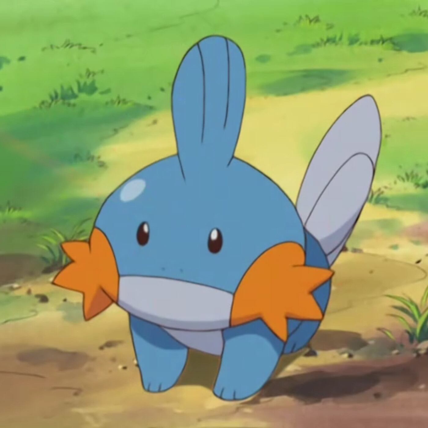 Mudkip sería uno de los Pokémon regionales de México