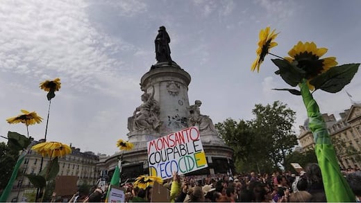 Marchan contra Monsanto en Francia
