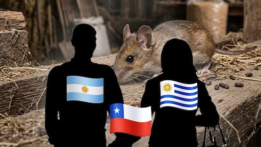 Hantavirus: itinerario de pareja contagiada incluye Chile, Uruguay y Argentina