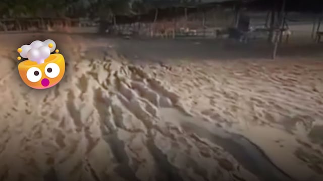 Sismo abrió grietas en playas de Barra Vieja