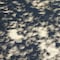 ¿Viste sombras de media luna bajo las hojas de los árboles durante el eclipse solar? Este es el efecto Pinhole