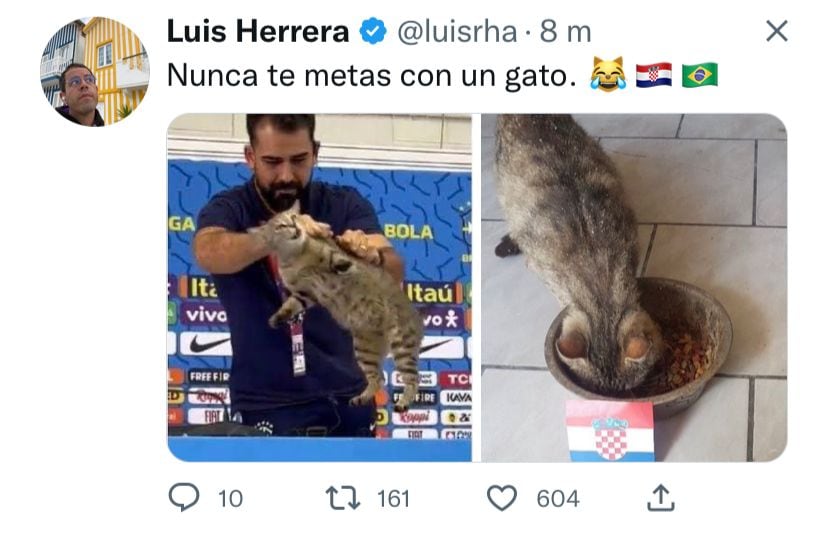 La Selección de Brasil fue víctima de "la maldición del gato".