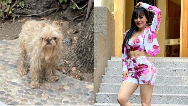 Maribel Guardia y Sadie, su perrita rastuda