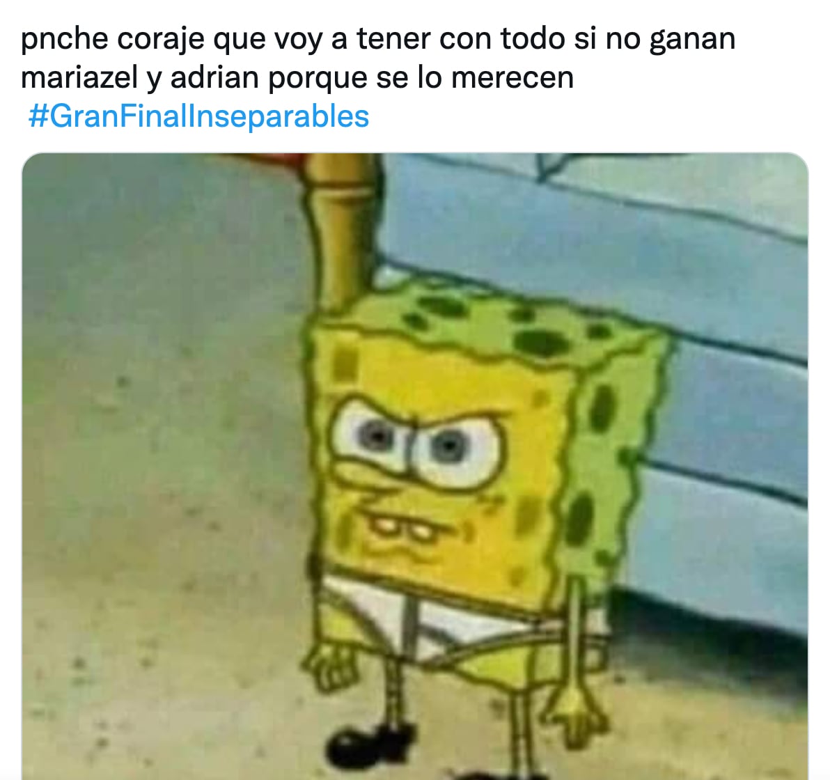 Meme por la victoria de Mariazel y Adrián en Inseparables
