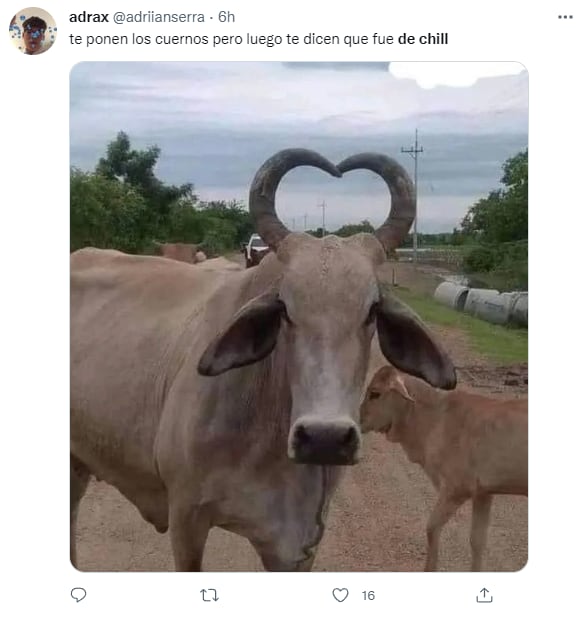 Memes "de chill",  frase tendencia en TikTok