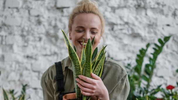 ¿Cómo recibir el equinoccio de primavera 2022? 5 rituales que puedes hacer