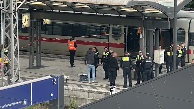 Alemania: Ataque en Estación Central de Hamburgo deja 12 heridos