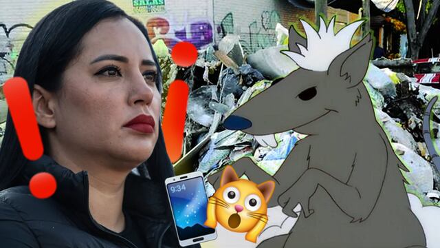 Sandra Cuevas huye de una rata en su operativo de limpieza