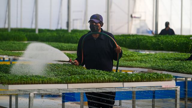 Jalisco, segundo lugar nacional de generación de empleo con 17 mil 020 nuevos