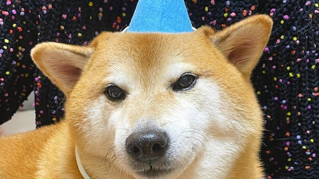 Cumpleaños de Cheems