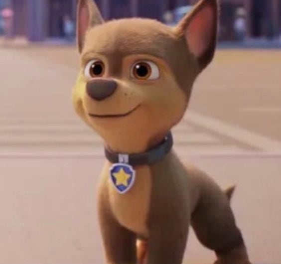 Chase de Paw Patrol