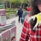 VIDEO: Pajarito que adivina la suerte huye de su trabajo; “a su barco lo llamó libertad”, le dedican en TikTok