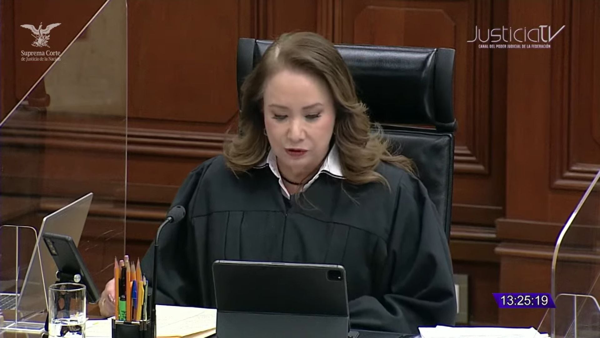 Ministra Esquivel Mossa