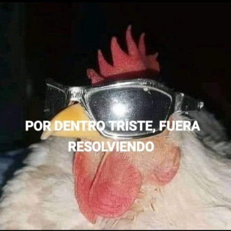 ¿Qué significan los memes de resolver?