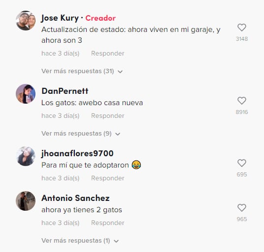 Comentarios al video del joven que intenta sacar un gato y se le cuela otro