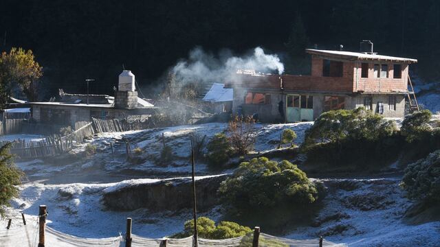 Nieve