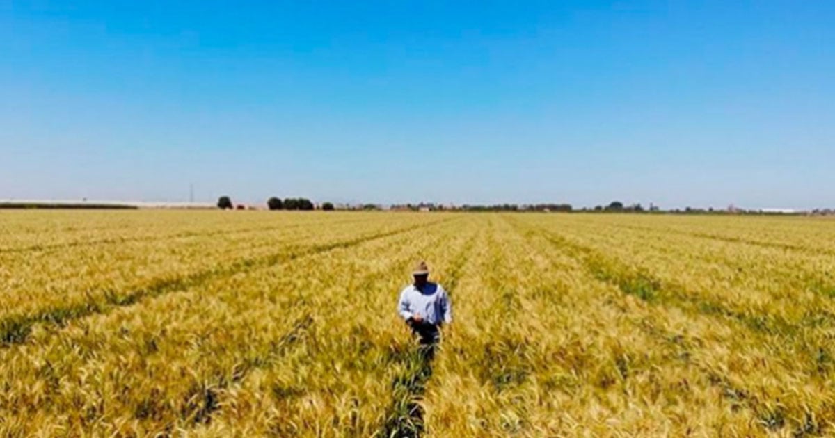 Apoyo de Grupo Bimbo a los pequeños productores del campo