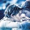Titanic: ¿Jack cabía en la puerta junto a Rose? Kate Winslet termina el debate de antaño