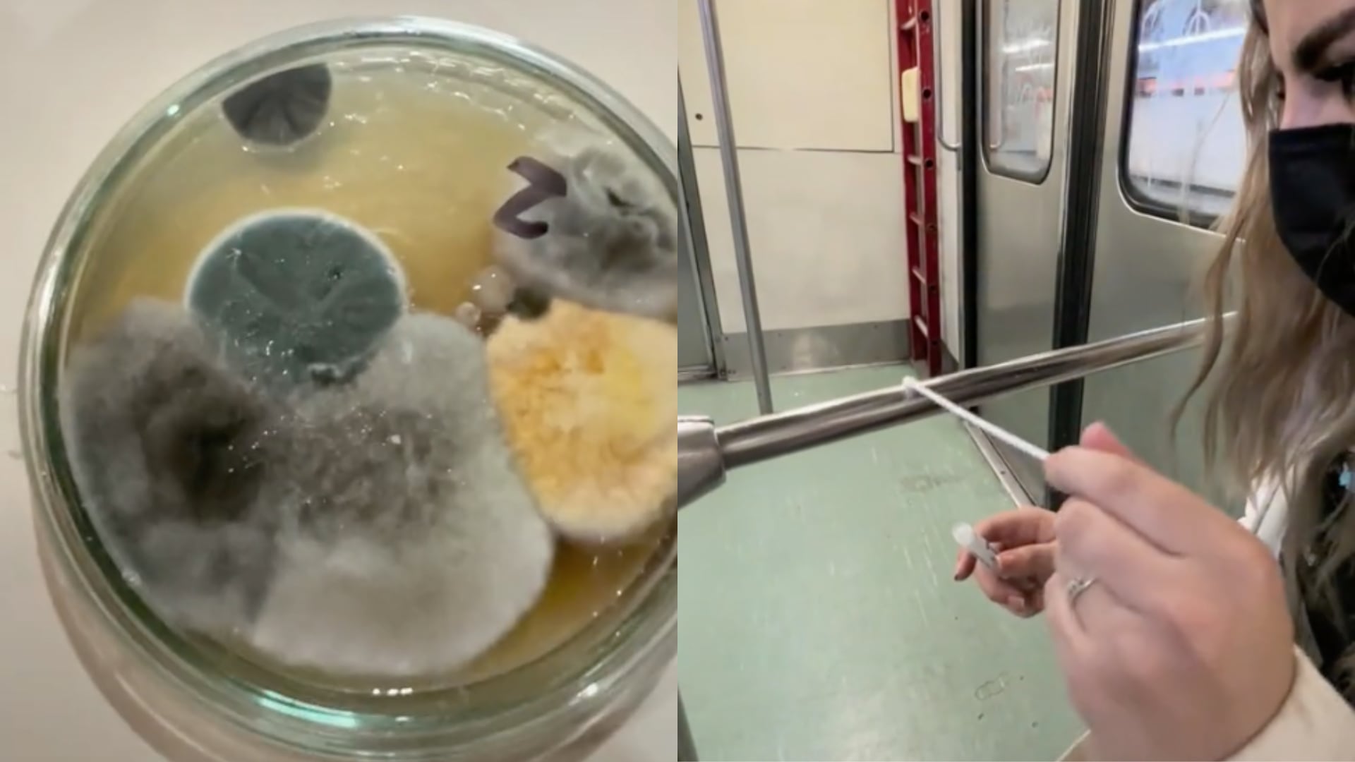Experimento bacterias en Metro de la CDMX