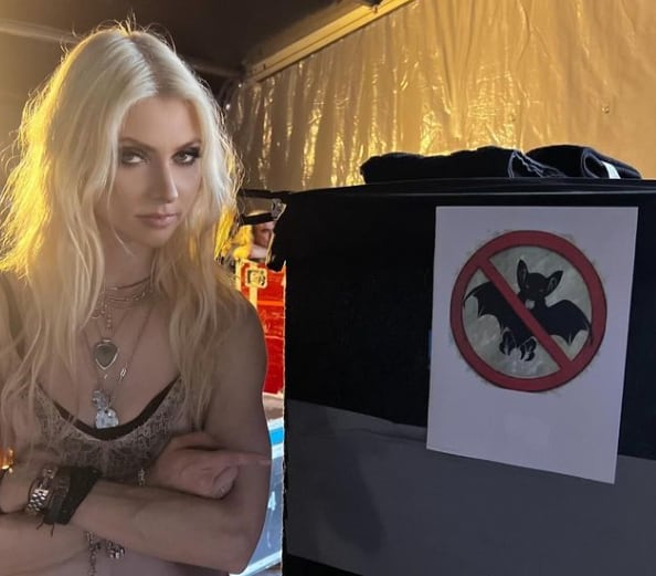 Taylor Momsen