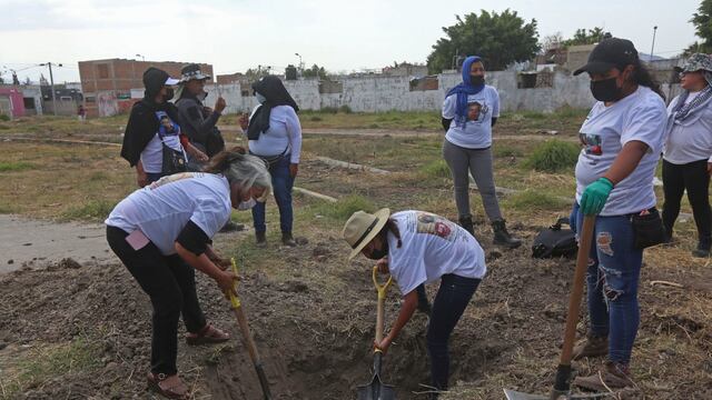 Búsqueda de colectivos en Tlajomulco, Jalisco