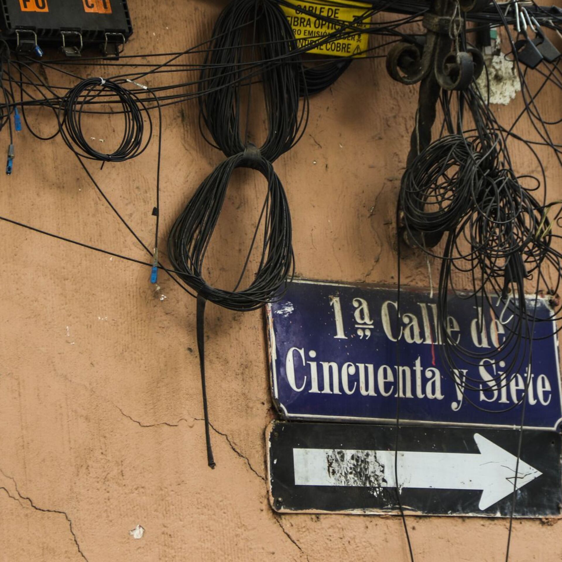 Bendita lengua madre