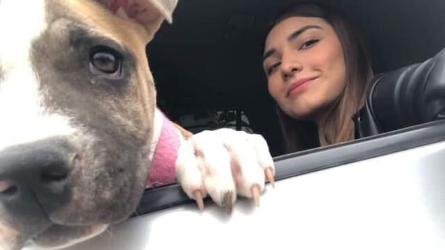 Perrita muere de tristeza al no soportar la pérdida de su dueña