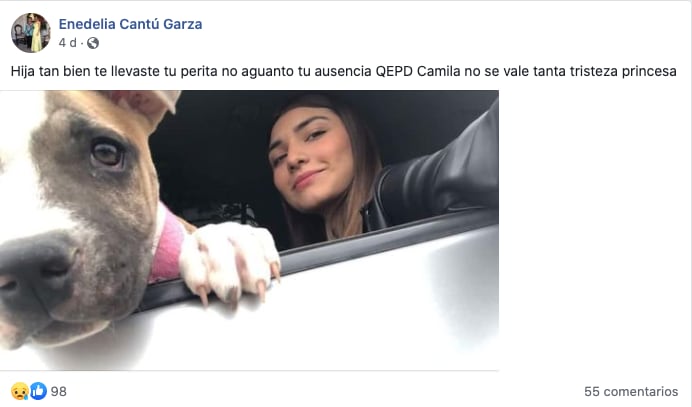 Perrita muere de tristeza al no soportar la pérdida de su dueña