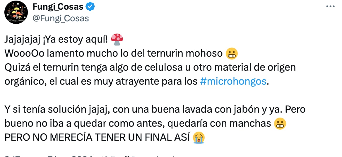 Consejo para el Ternurín lleno de hongos