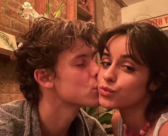 Shawn Mendes y Camila Cabello