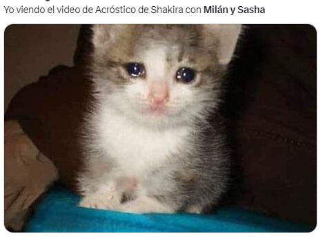 Shakira causa memes llorosos por su canción "Acróstico" con sus hijos.