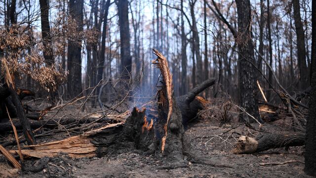 Parque Nacional de Budgong en Nueva Gales del Sur
