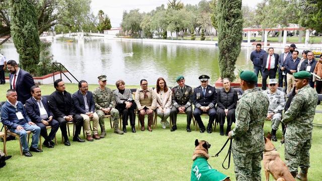 Clara Luz Flores impulsa proyecto de Protección Animal