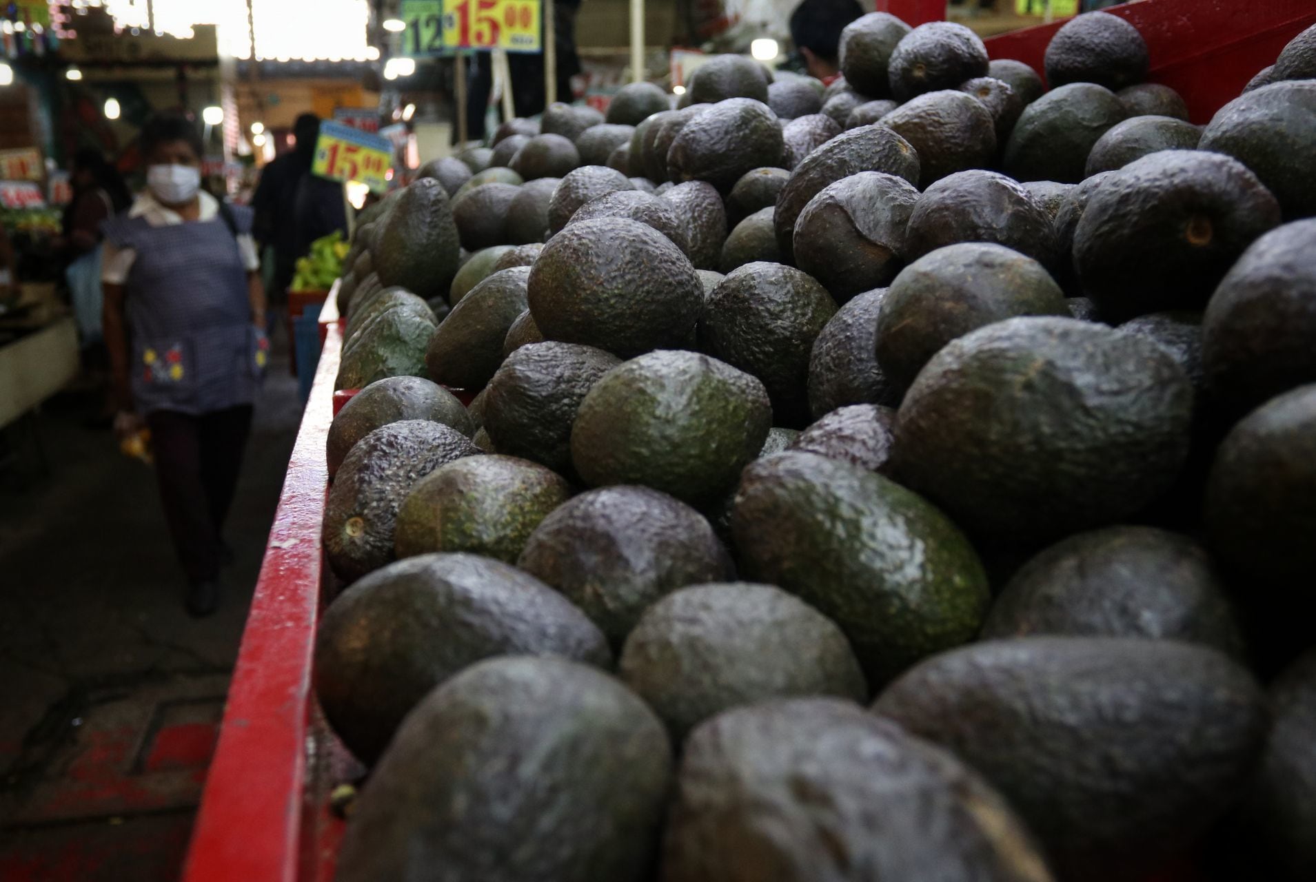 Aguacate
