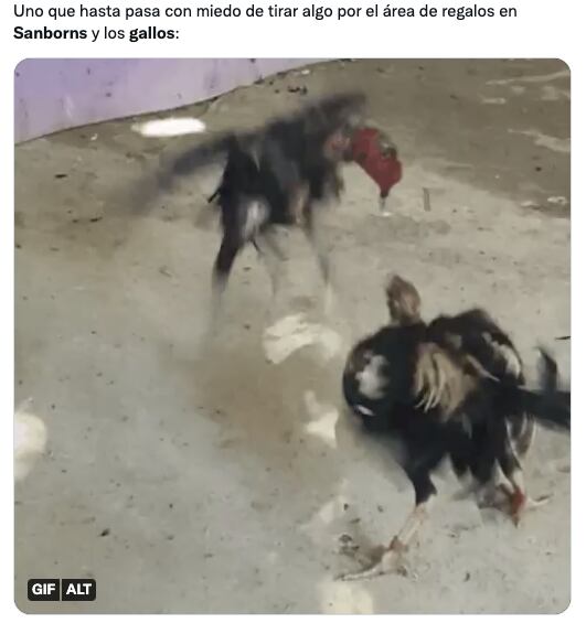 Memes sobre las peleas de gallo en Sanborns