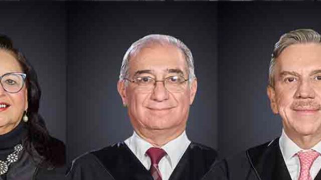 Norma Piña, Alberto Pérez Dayán y Javier Laynez