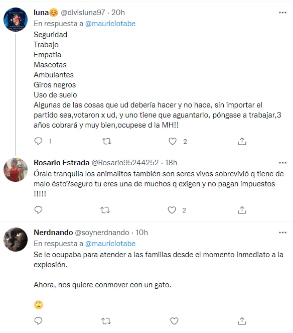 Comentarios sobre el rescate del gatito Max