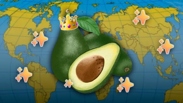 El aguacate se produce en México y otros 7 países