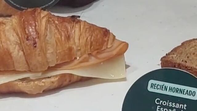 Cucaracha en la comida de Starbucks