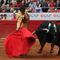 Aprueban en comisión prohibir corridas de toros en CDMX