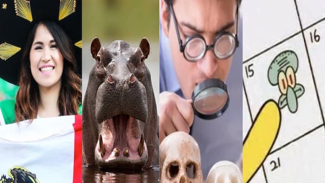 ¿Qué se celebra el 15 de febrero? Hoy es el Día de molestar a Calamardo, el Día de la Mujer Mexicana, el Día Mundial del Hipopótamo y el Día Mundial de la Antropología