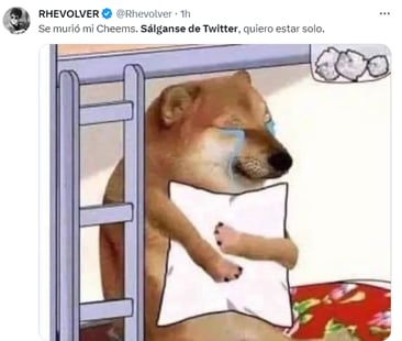 Memes lamentan la muerte de Cheems