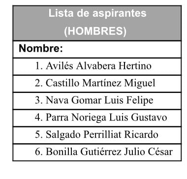 lista de candidatos a un cargo de comisionado en el Inai/@letroblesrosa