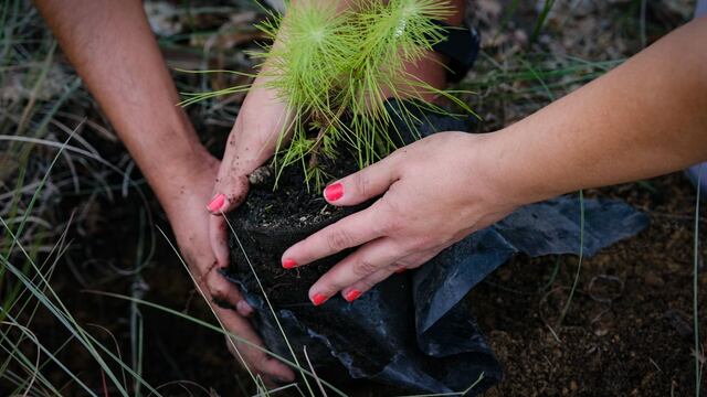 Jalisco Medio Ambiente