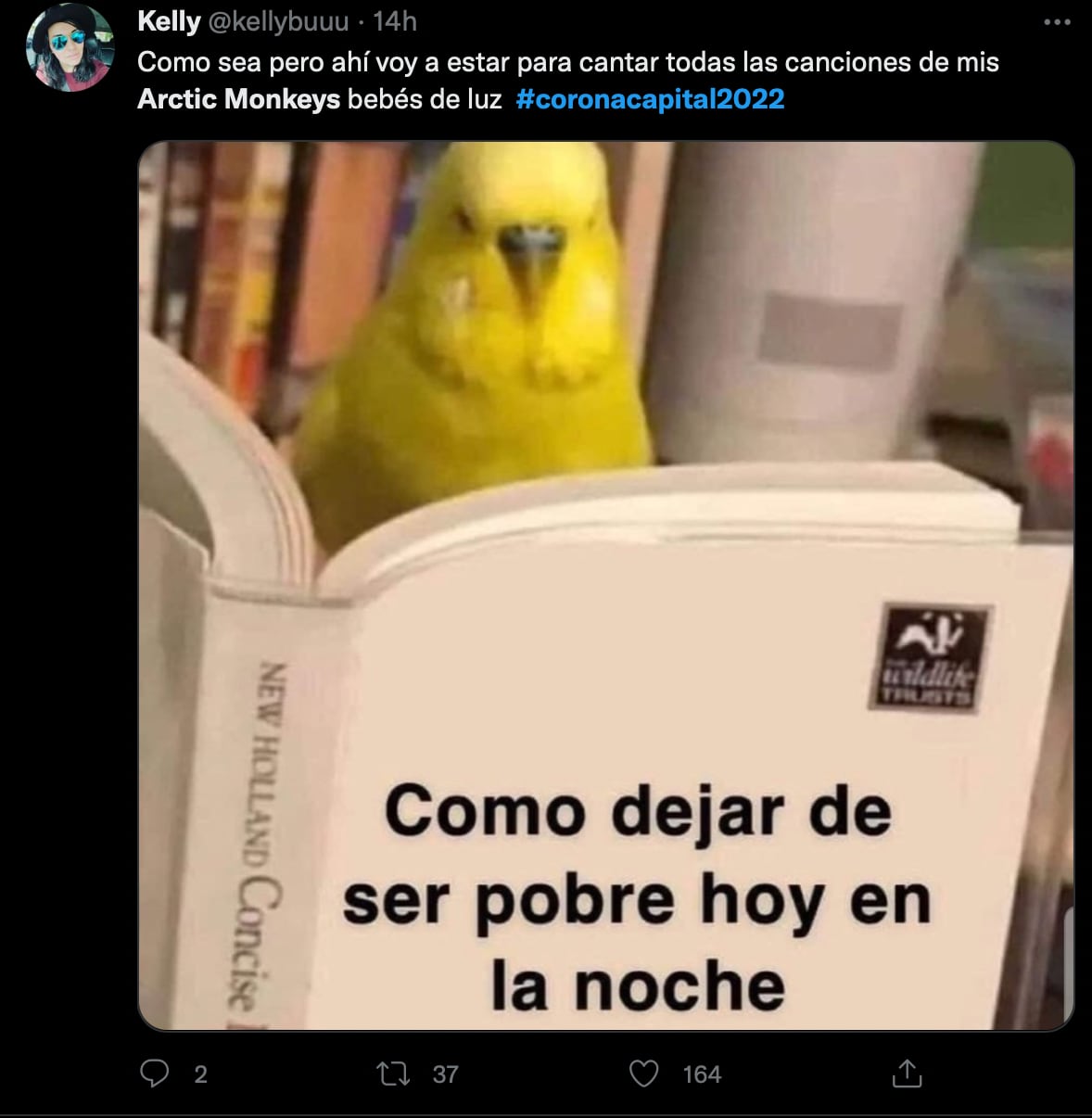 Memes Corona Capital 2022