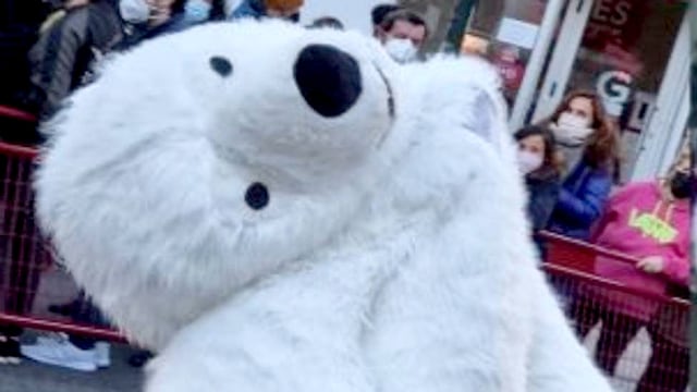 El oso perjudicado: El origen del sticker para fingir que todo está bien