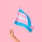 ¿Por qué se celebra el Día de la Visibilidad Trans? Significado e historia detrás del festejo del 31 de marzo