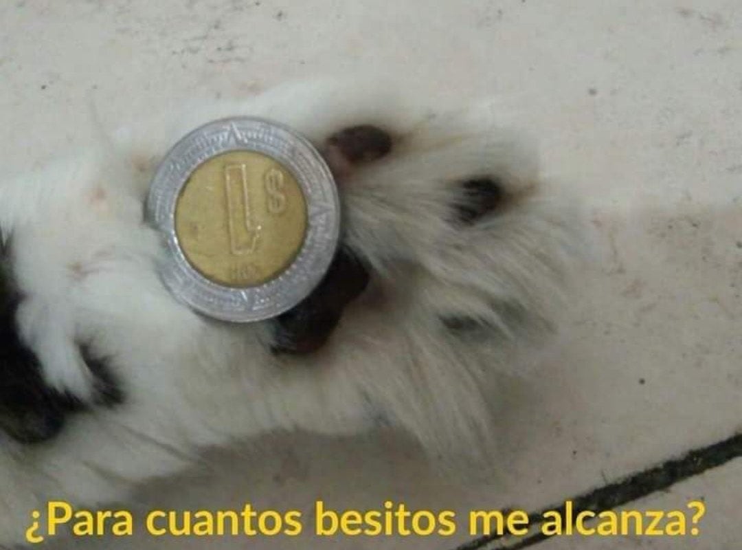 Memes de San Valentín para enviarle a tu pareja