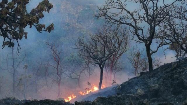 Incendio en el Bosque de la Primavera, lo reportan controlado